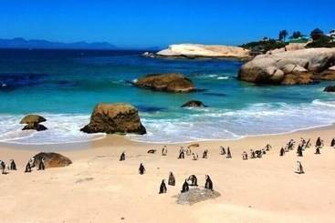 مبيت وإفطار Central Hotel Guest House