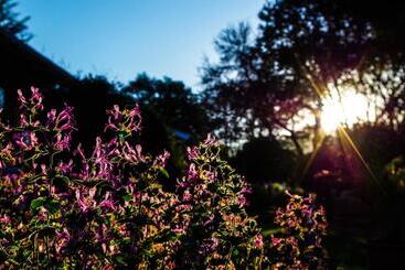 The Manderson Hotel And Conference Centre