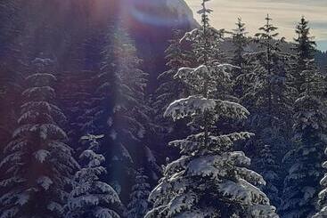 酒店 Garni Franca B&b