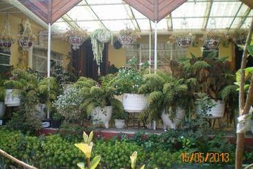 ホテル Habitaciones Betito