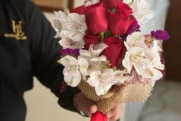 هتل Lopez Campeche