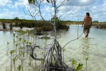 酒店 Villas Ecotucan