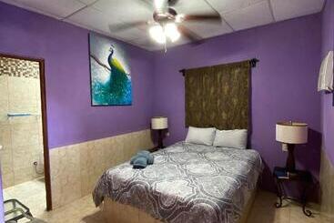 فندق صغير Windmill Hostal