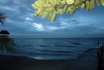 酒店 Salvador Gaviota