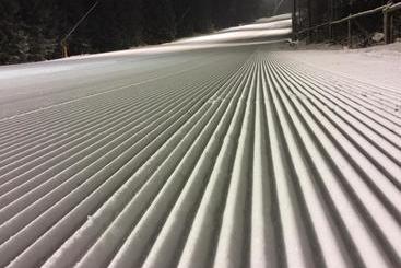 فندق Astoria With Private Skibus