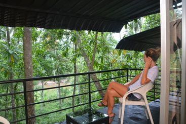 ホテル Tulip Of Ceylon Nature Resort