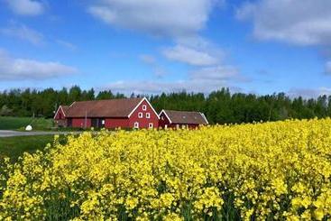مبيت وإفطار Red Bird Farm