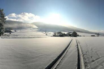 Отель Andromeda