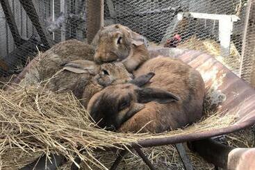 Tailor Made Tekapo Accommodation   Hostel