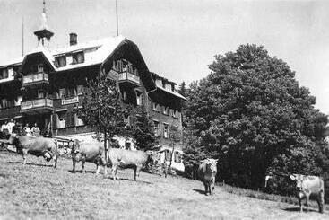 Aparthotel Edy Bruggmann Ag