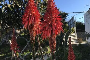 تختخواب و صبحانه Porto Monte