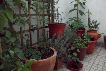 E Nove Lounge Hostel Caffe