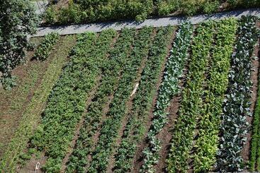 בית מלון כפרי Alpina Parpan