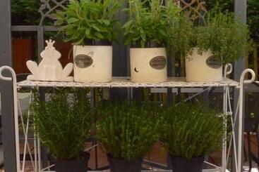 בית מלון כפרי Restaurant Kutchi