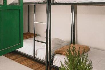 Общежитие Wild Monkey