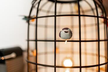 호텔 Bossche Suites No2   Verwersstraat