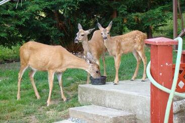 Hummers Haven Bed And Breakfast
