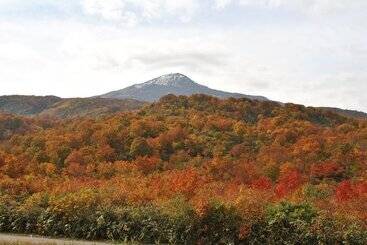 Chokai Sarukura Onsen Hotel Foresta Chokai