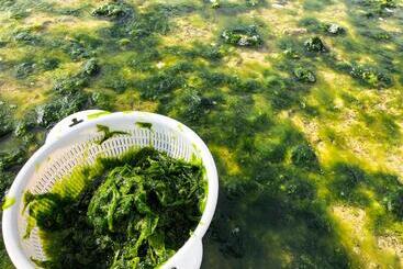 료칸 Minshuku Irayoi