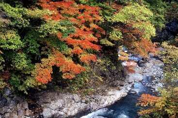 旅館 Yamayuri No Yado