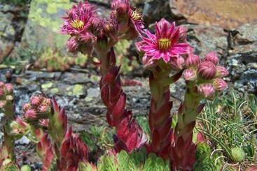 Albergue Turístico Briz