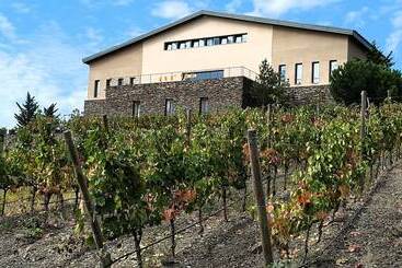 호텔 Buil & Gine Wine