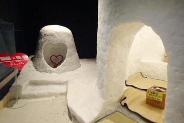 هتل Wellness Yokoteji