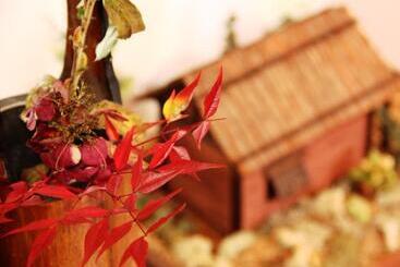 日式旅馆 Hatoguruma Kawabata