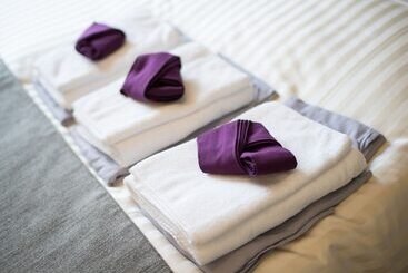 Super Hotel Premier Jr Nara Eki