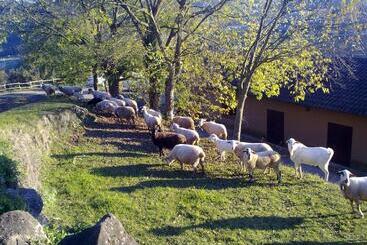 旅馆 Casa De Colònies La Cadamont