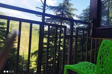 فندق Holiday Hill