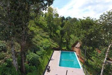 Курорт Chateau Woods