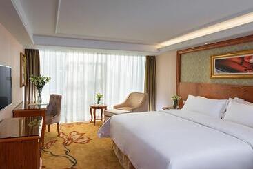 Vienna Hotel Mix City