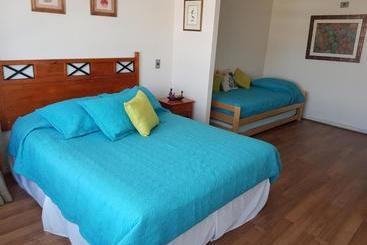 Pedro De Valdivia Apartment Providencia