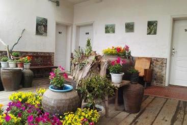 Wuyi Mountain Da Wang Peak Youth Hostel