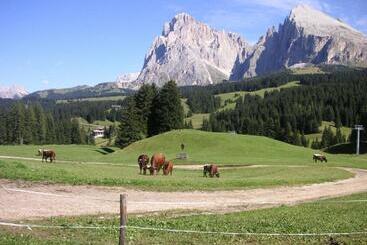בית מלון כפרי Flora