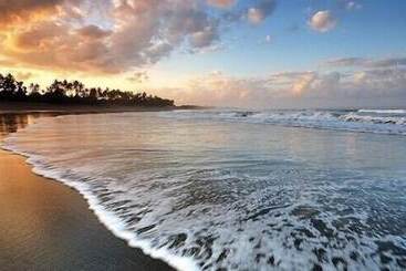 בית מלון כפרי Amelle Villas & Residences Canggu