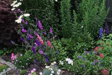 Garden Bed And Breakfast