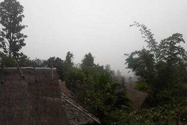 فندق Nusha Homestay