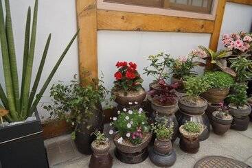 Пансион Dowonjeong Healing House