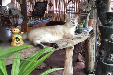 بنسيون Thai Guesthouse