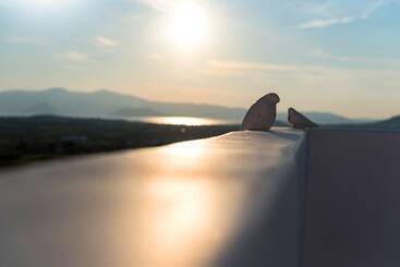 فندق Seven Suites