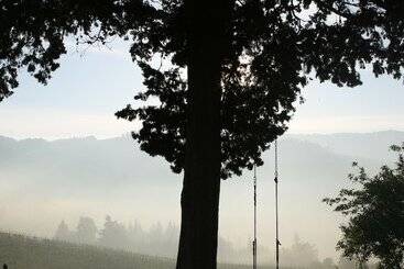 פנסיון Chianti Yoga   The Tuscan Collection