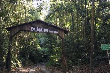 De  Native Guest House  Hostel