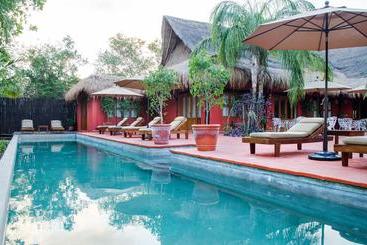 هاستل Hostal El Choco