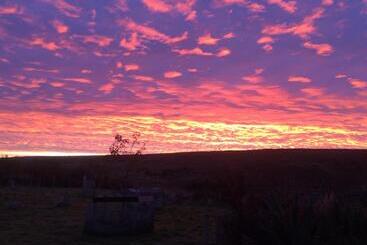 Отель The Lovecroft Guest House