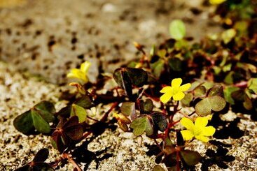 Unnie Guesthouse   Hostel