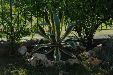 تختخواب و صبحانه Bed&Breakfast Villa Luisa