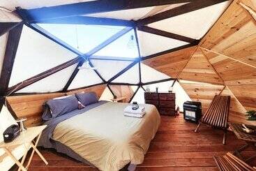 Raptor Ranch Little Owl 1