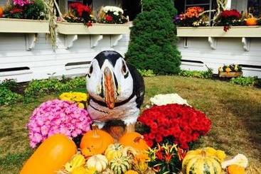 تختخواب و صبحانه Puffin Inn
